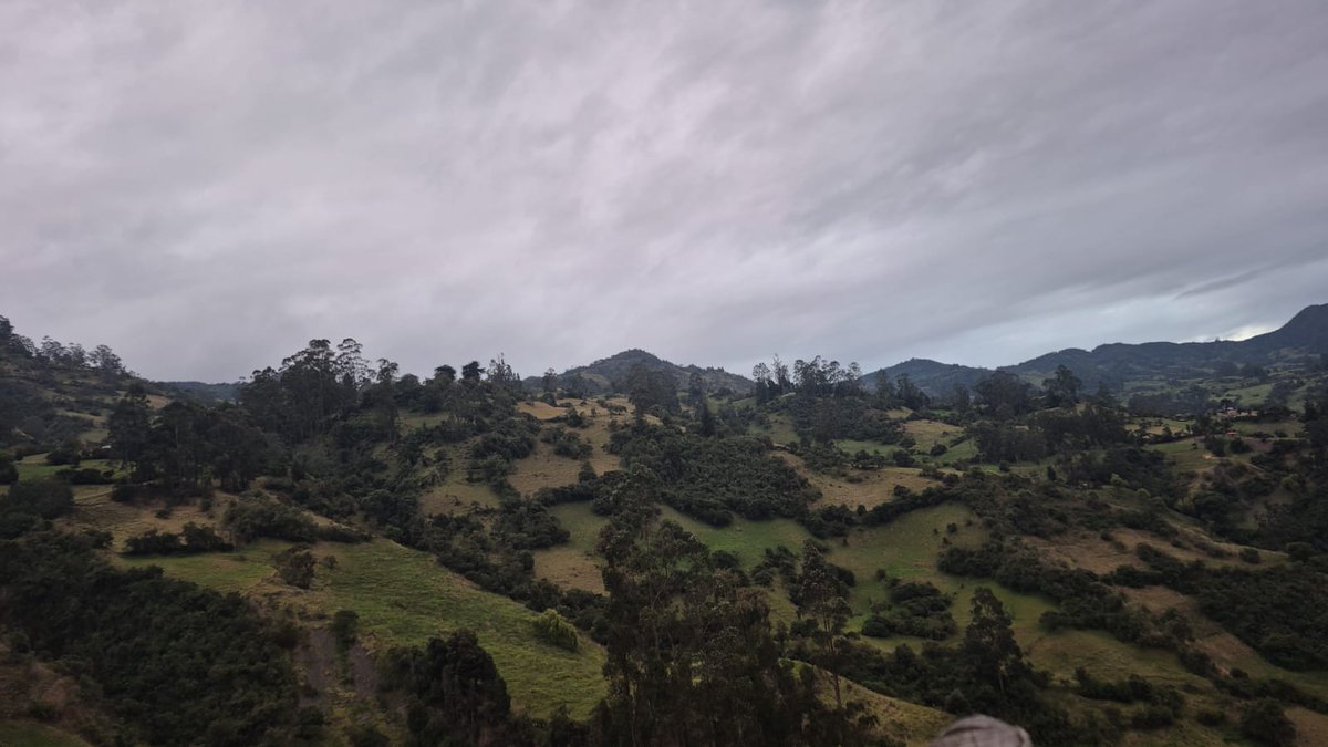 Provincia Norte Pasion Ganadera tweet media