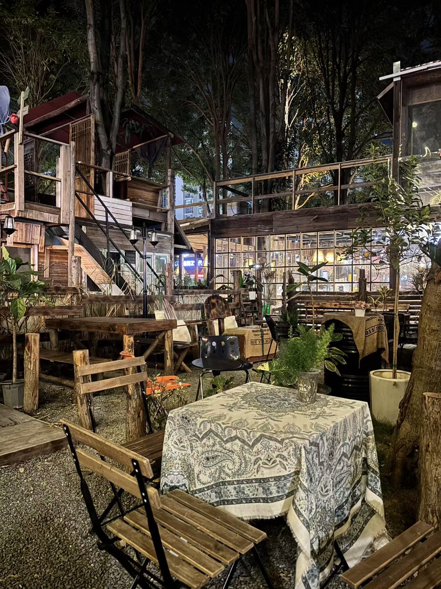 貓先生 tweet media