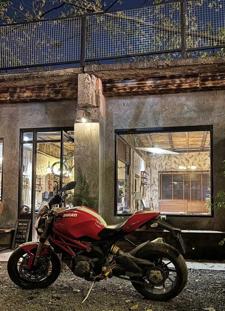 貓先生 tweet media