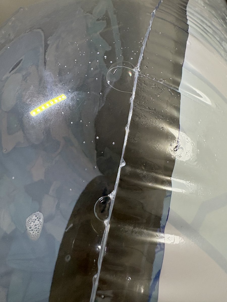 コルト tweet media