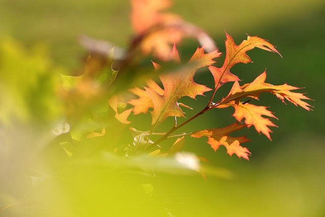 Patrick Jones tweet media