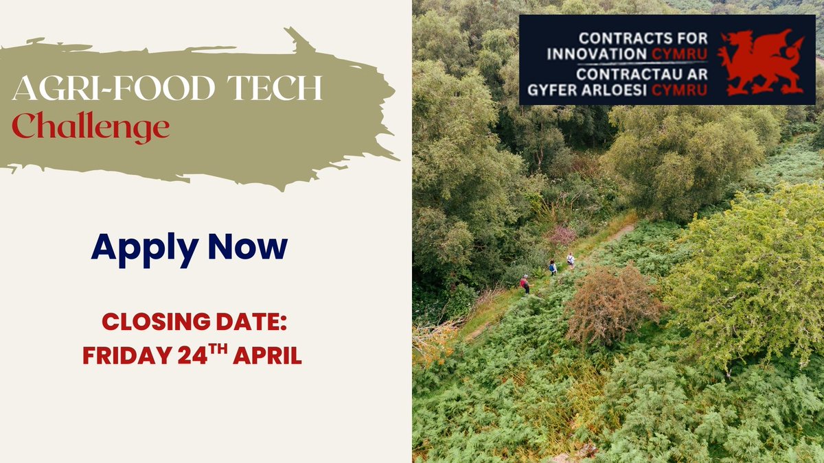 Contracts For Innovation Cymru tweet media