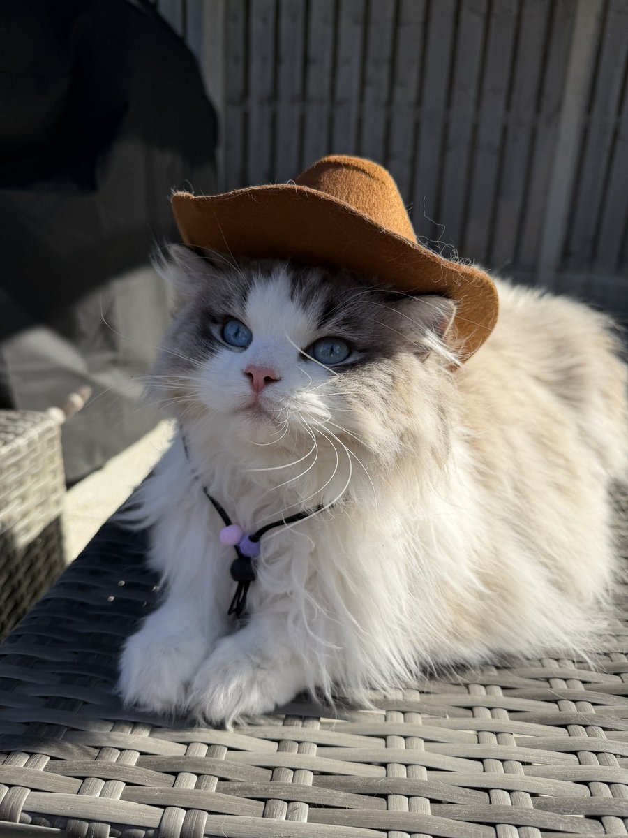 Heather 🐍 tweet media