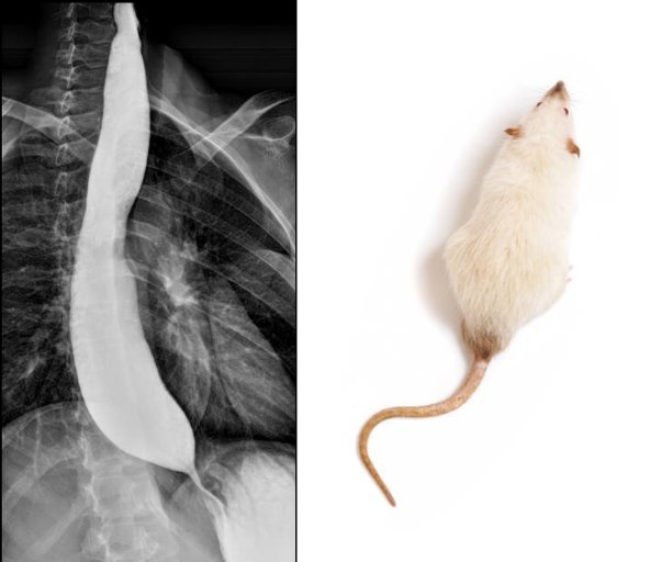 MEDICINE MADNESS tweet media