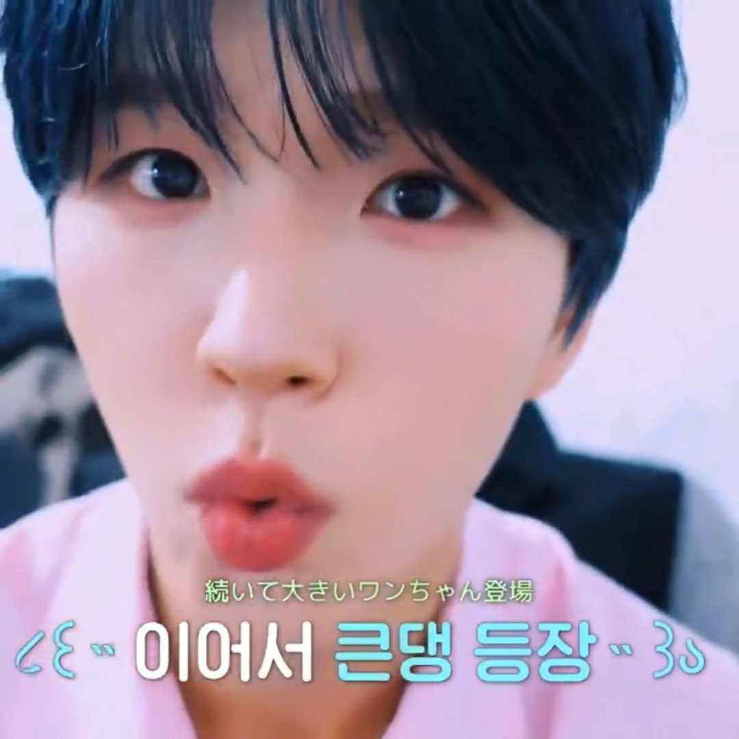 댕른 아카이브 tweet media