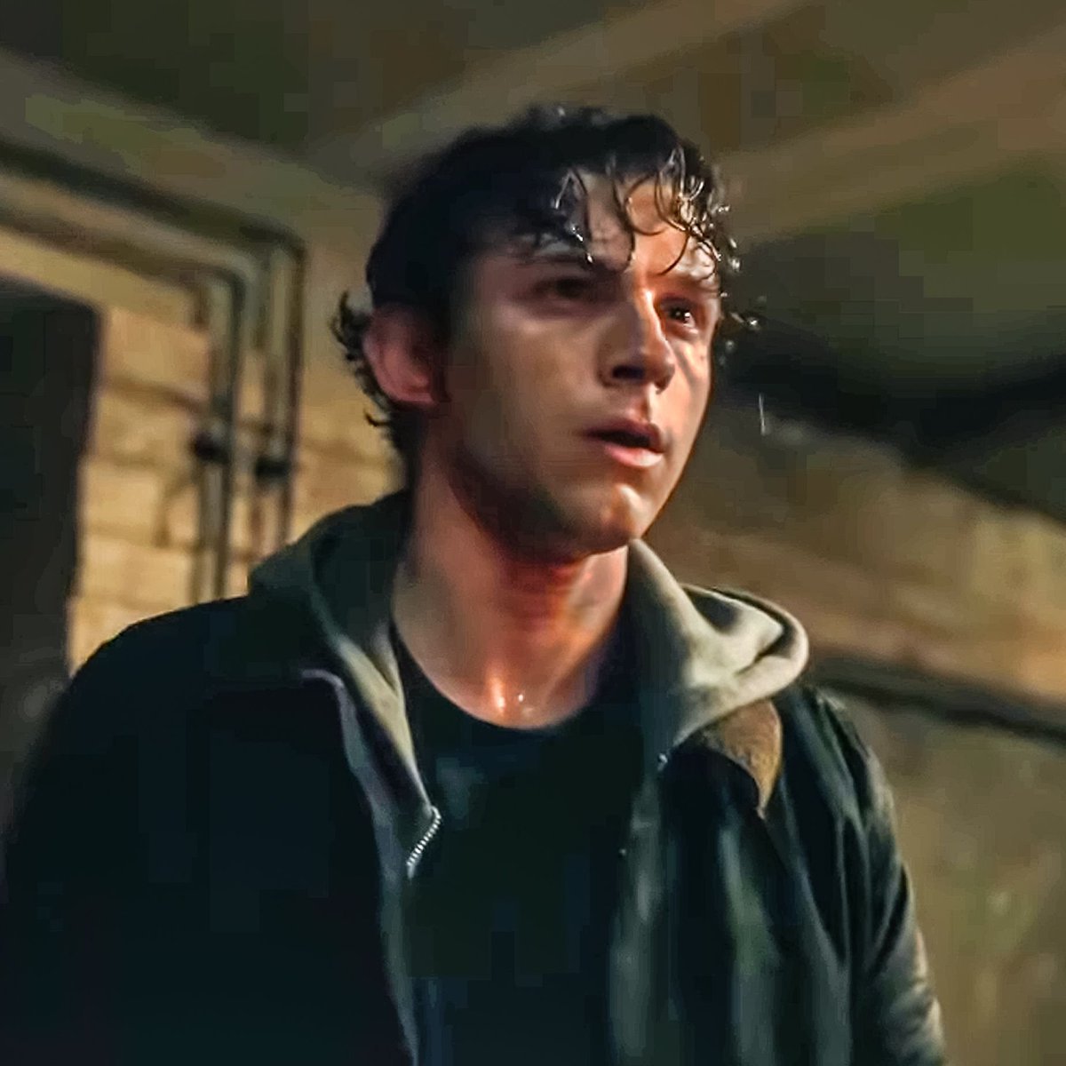 𝗔𝗿𝗮𝗻𝗵𝗮𝘃𝗲𝗿𝘀𝗼 𝔹𝕣𝕒𝕤𝕚𝕝 🕸️🇧🇷 tweet media