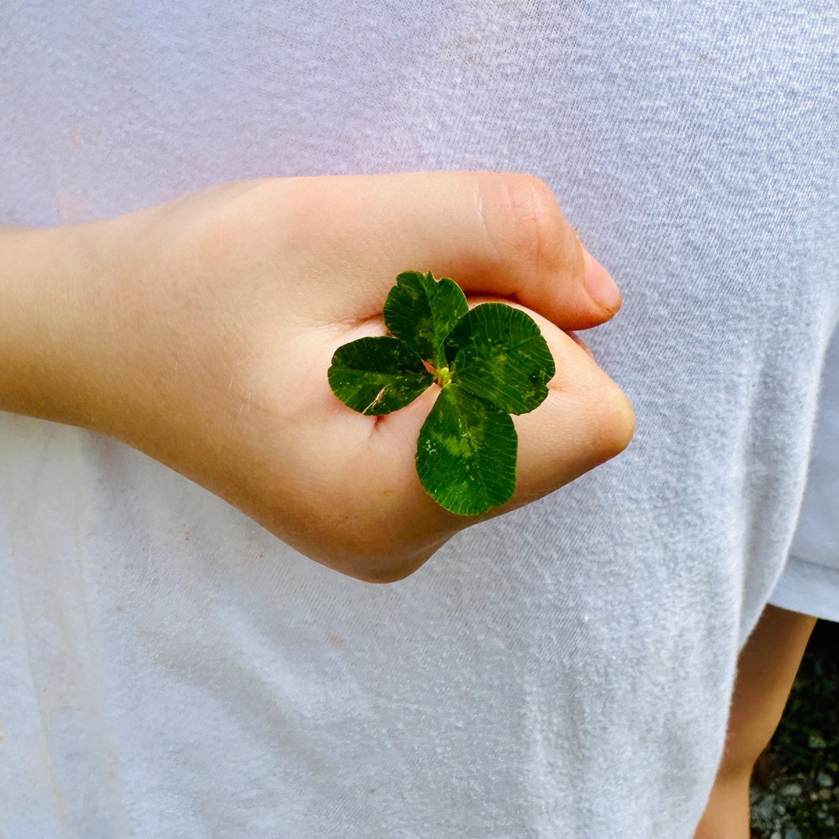 𝔠𝔞𝔯𝔞 tweet media