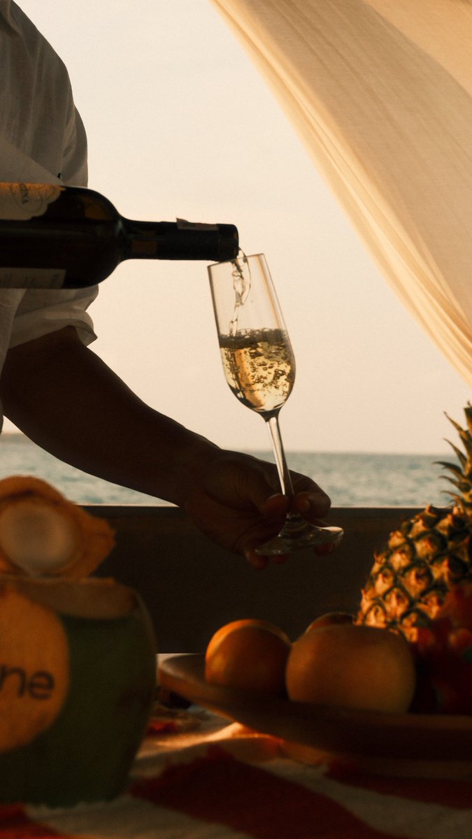 catto 1945 tweet media