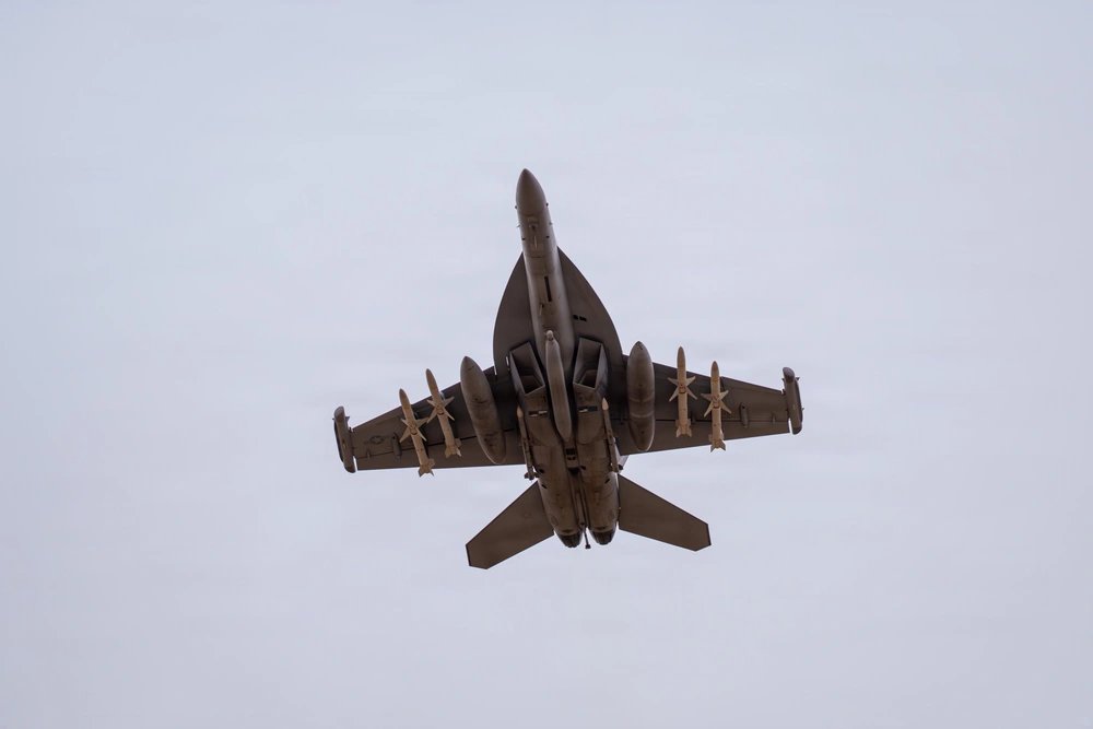 OSINTtechnical tweet media