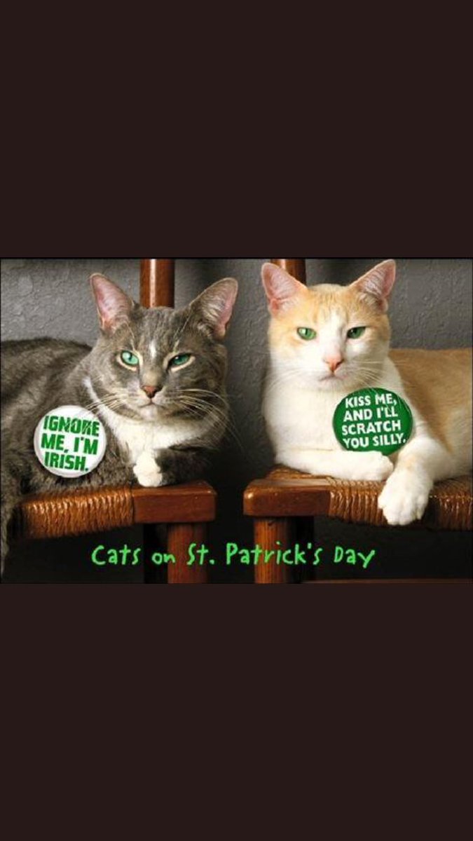 Fendi and angel Foxy tweet media