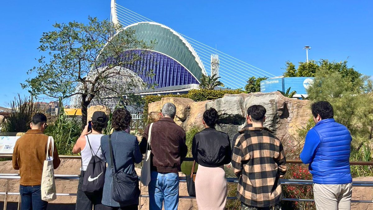 Fundació VisitValència tweet media