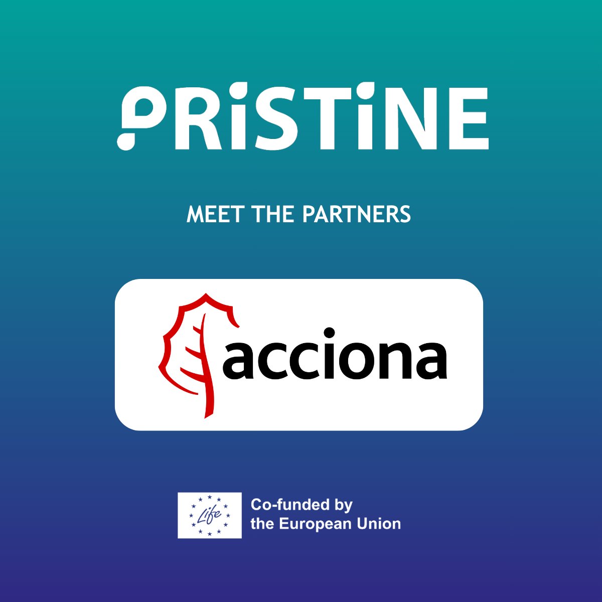 LIFE PRISTINE tweet media