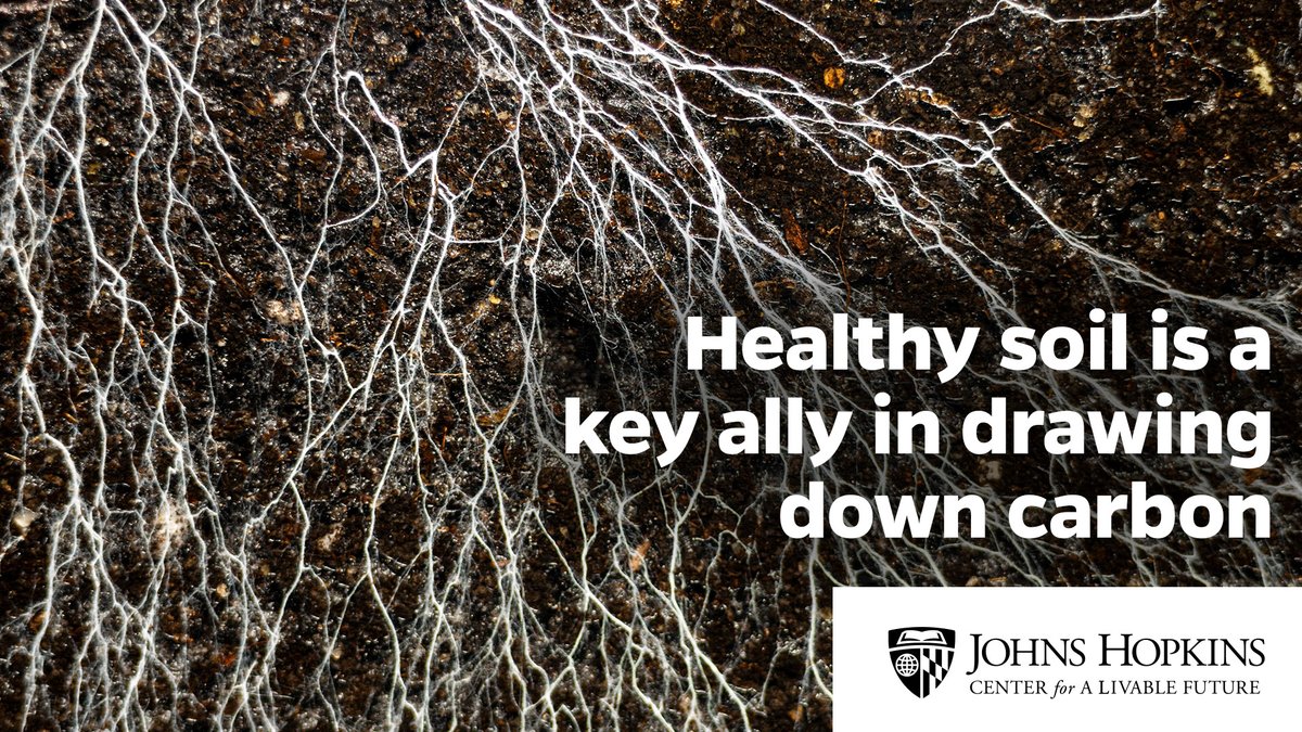 Livable Future tweet media