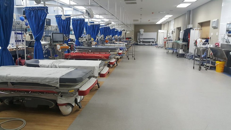 RüsselReporter tweet media