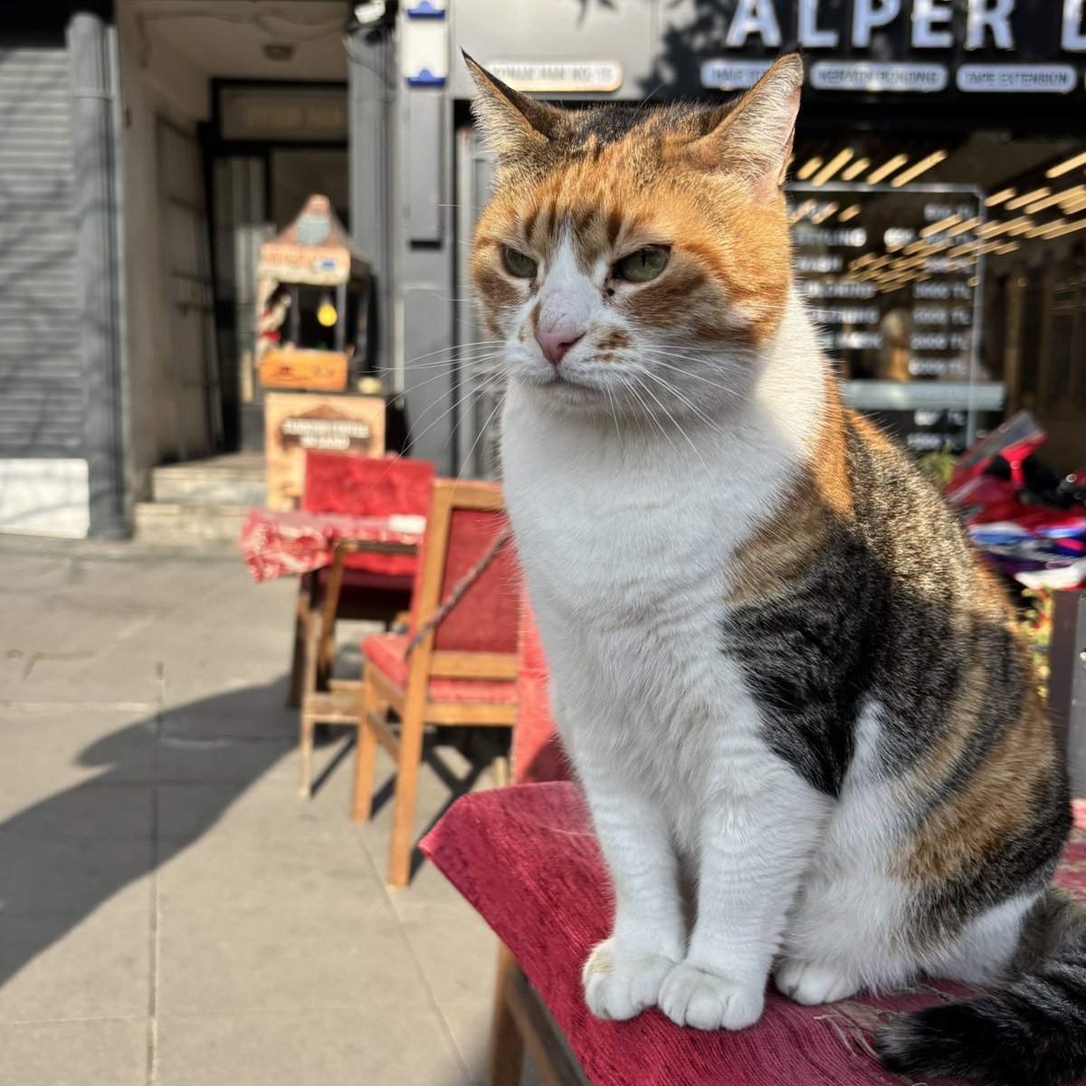 Boşuna Tıklama tweet media