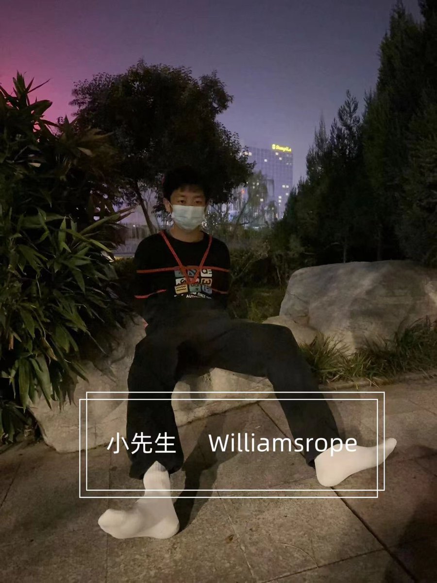 Williams（新号回归，重新启动） tweet media