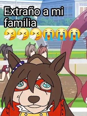 ̷E̷L̷ ̷C̷O̷N̷D̷O̷R̷ ̷P̷A̷S̷A̷ tweet media