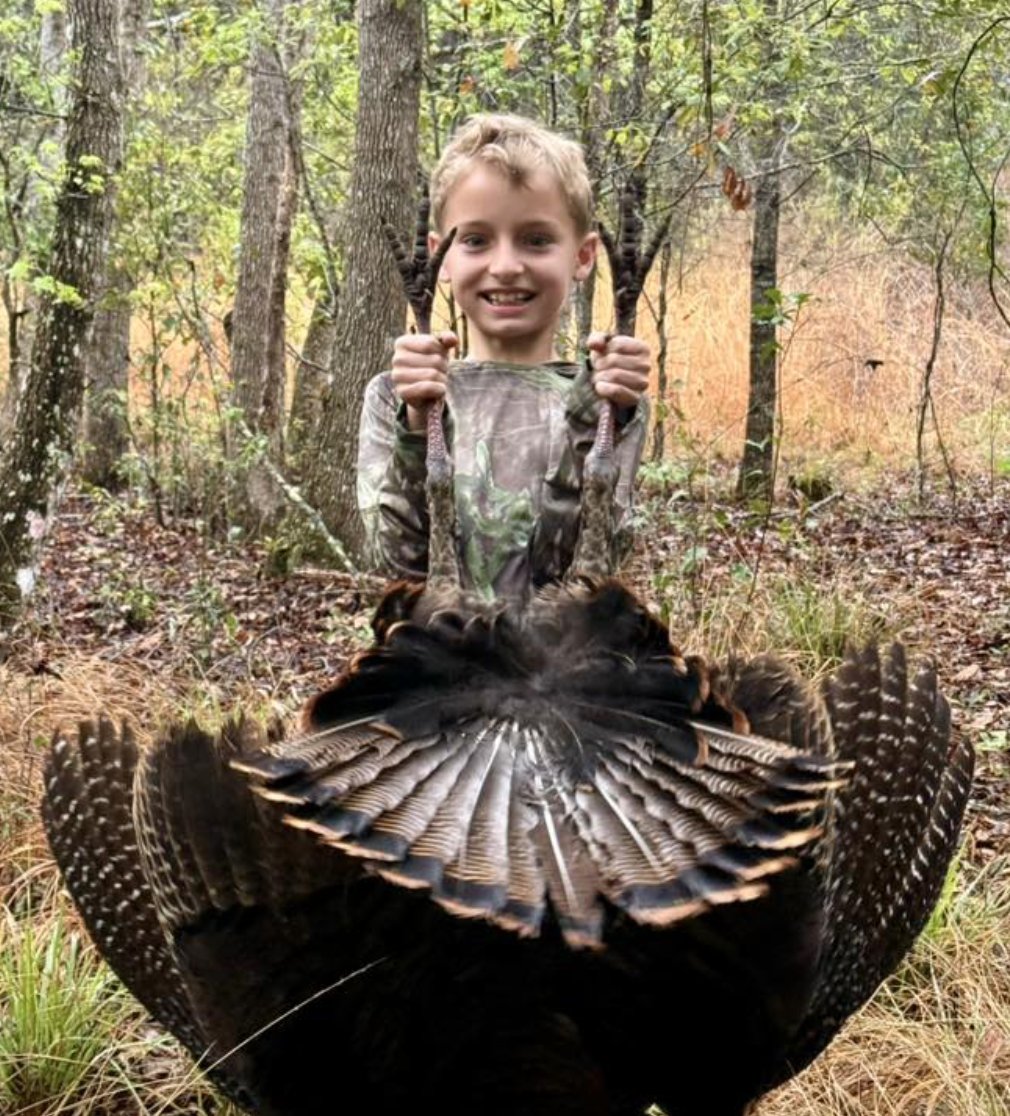 Turkeys for Tomorrow tweet media