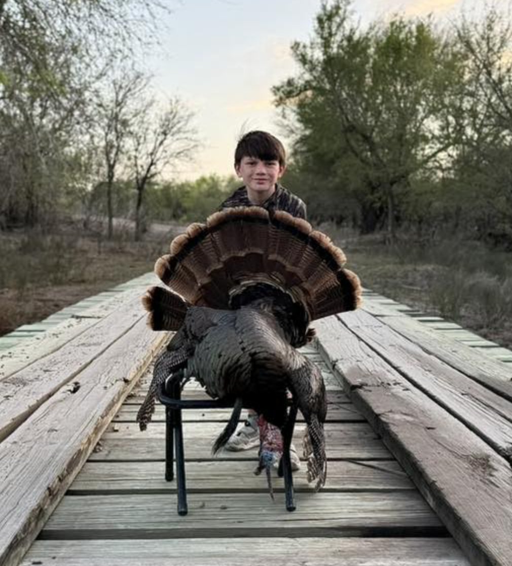 Turkeys for Tomorrow tweet media