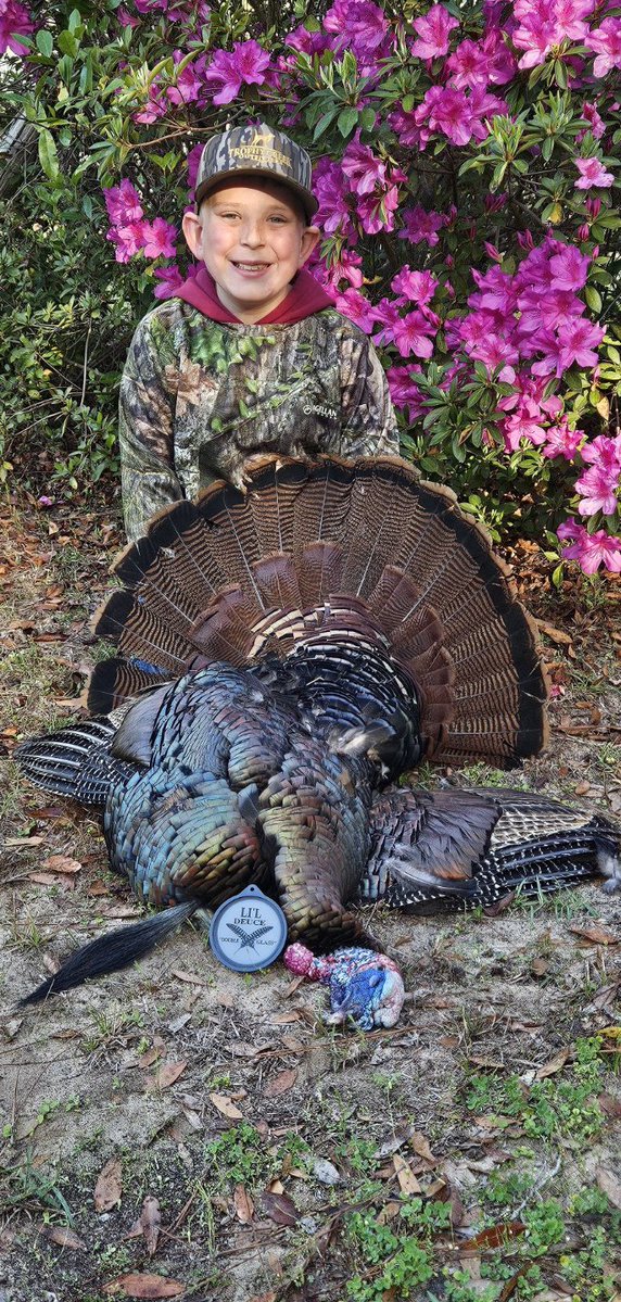 Turkeys for Tomorrow tweet media