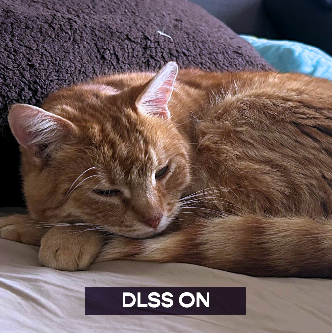 Lofi Girl tweet media