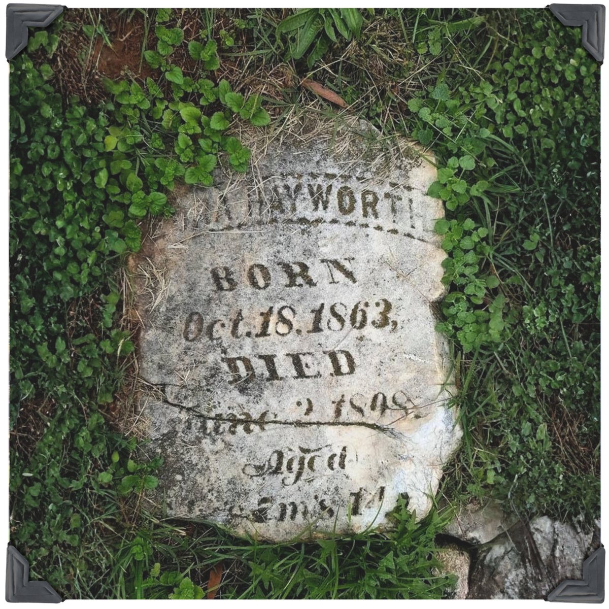 Diary of Abandonment tweet media