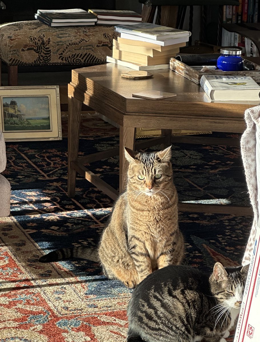 Luanne Rice tweet media