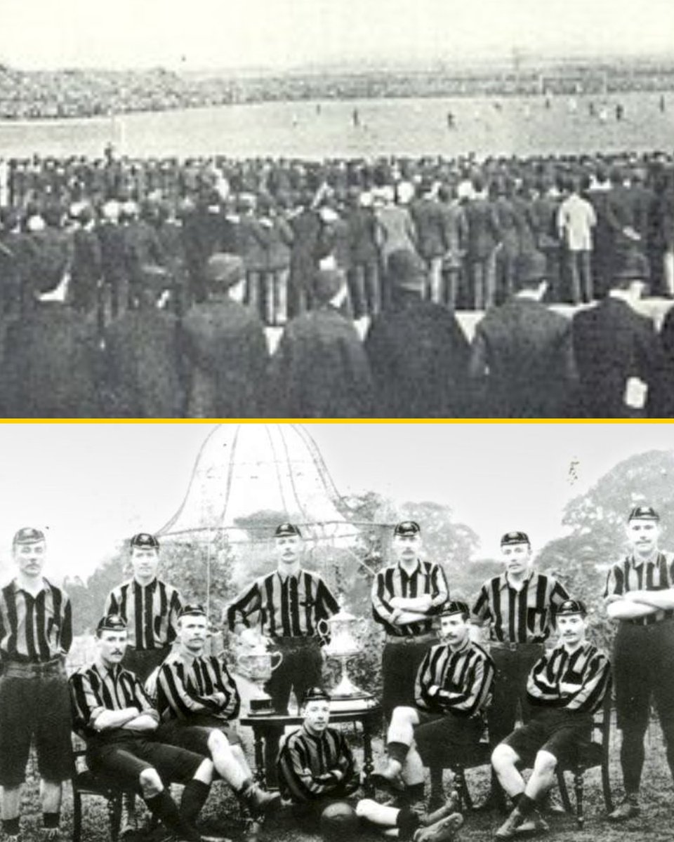 Talking Wolves tweet media