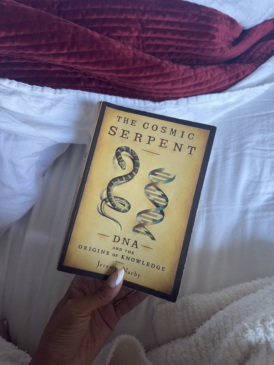 SHENEKA ADAMS 🐆 tweet media