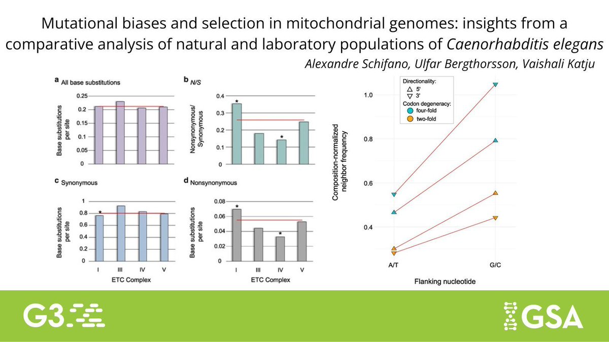Genetics Society of America tweet media