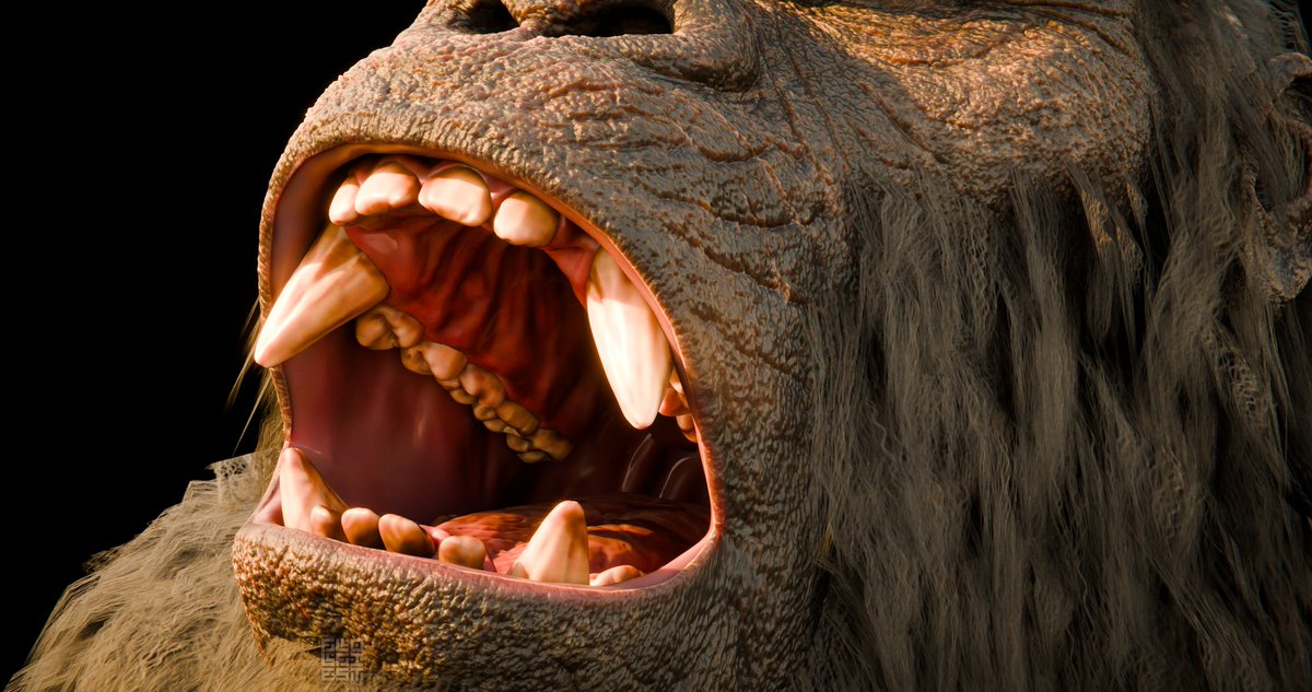 Efner 🔜 TFF tweet media