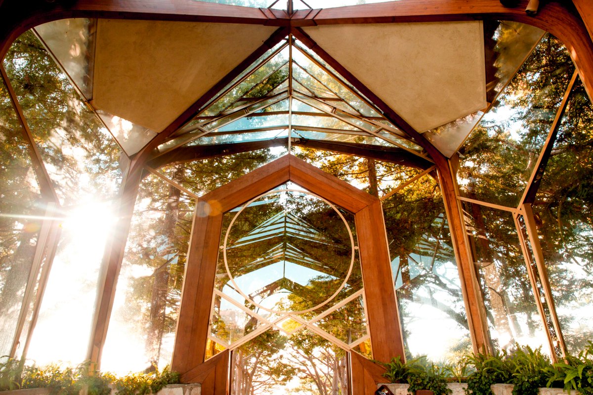 Mann Made Cinema tweet media