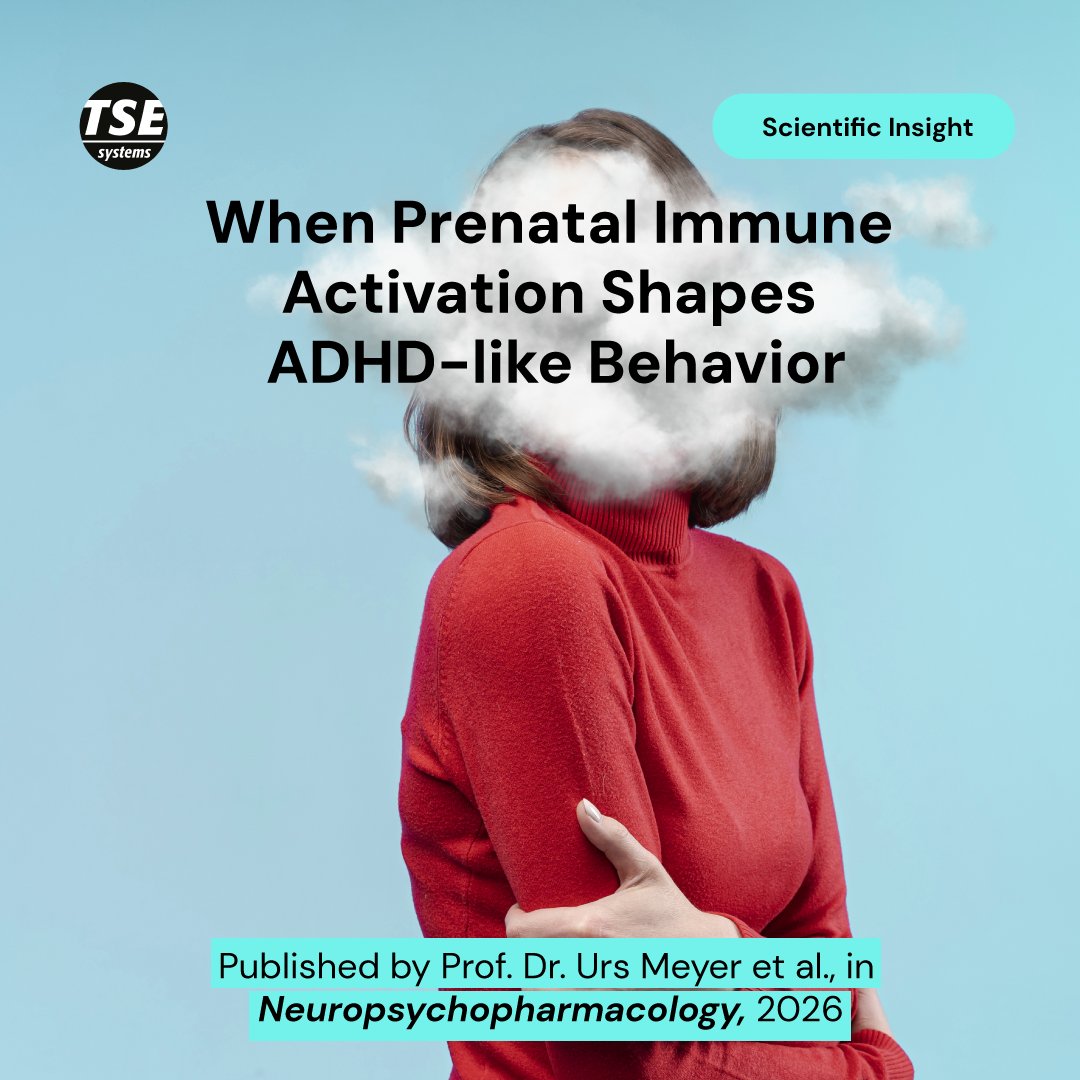 TSE Systems tweet media