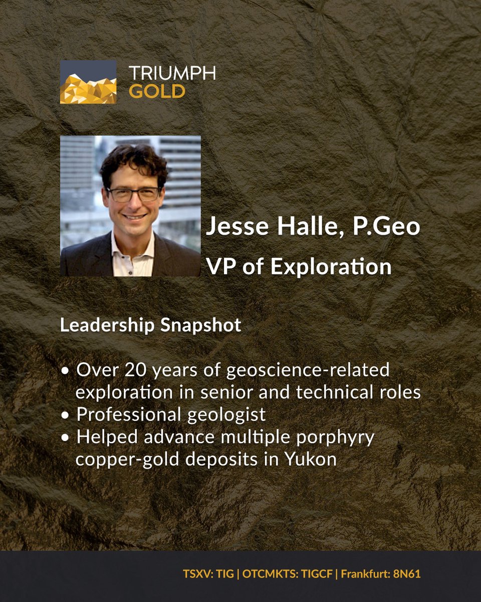Triumph Gold Corp tweet media