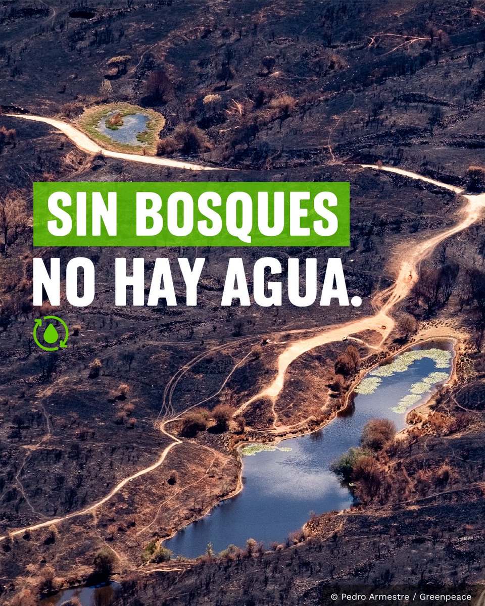 Greenpeace Colombia tweet media