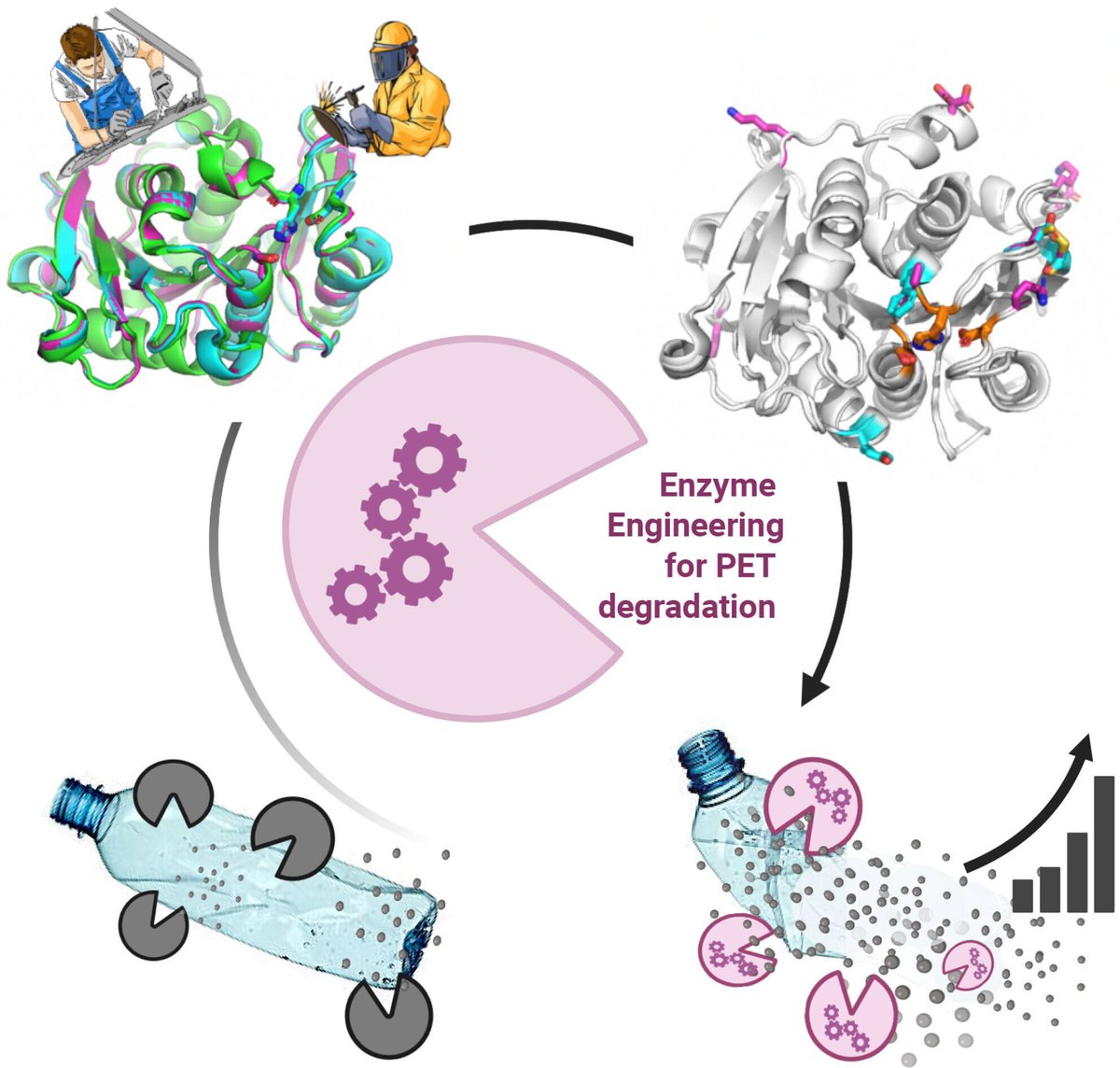 The FEBS Journal tweet media