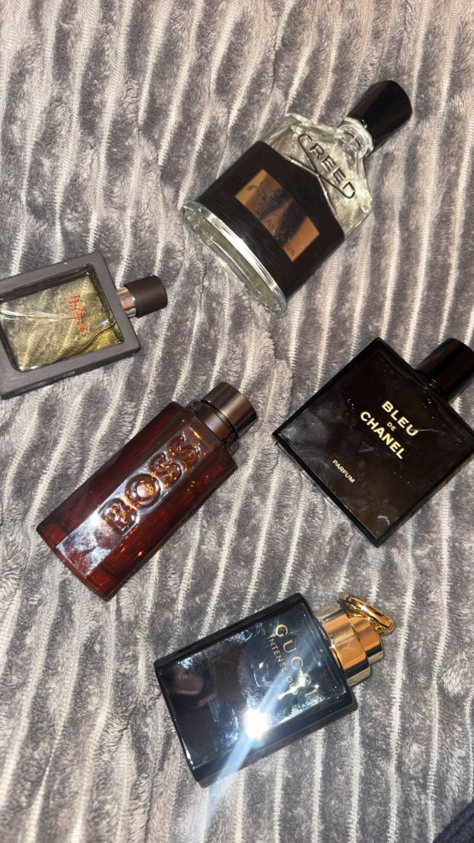 SalmuraiCat ✳️ tweet media