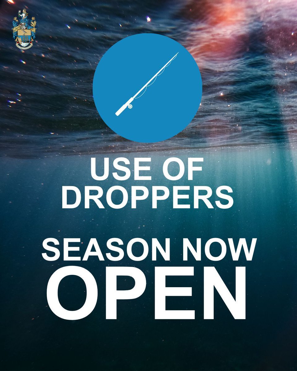 sthelenampa's tweet photo. For further information please contact the Marine Compliance and Enforcement Section on:
📞  00290 25947/64642, or email
📧  marineenforcement@sainthelena.gov.sh https://t.co/n438a5AwLl