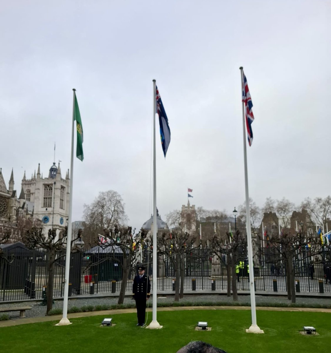 Alison Kemp tweet media