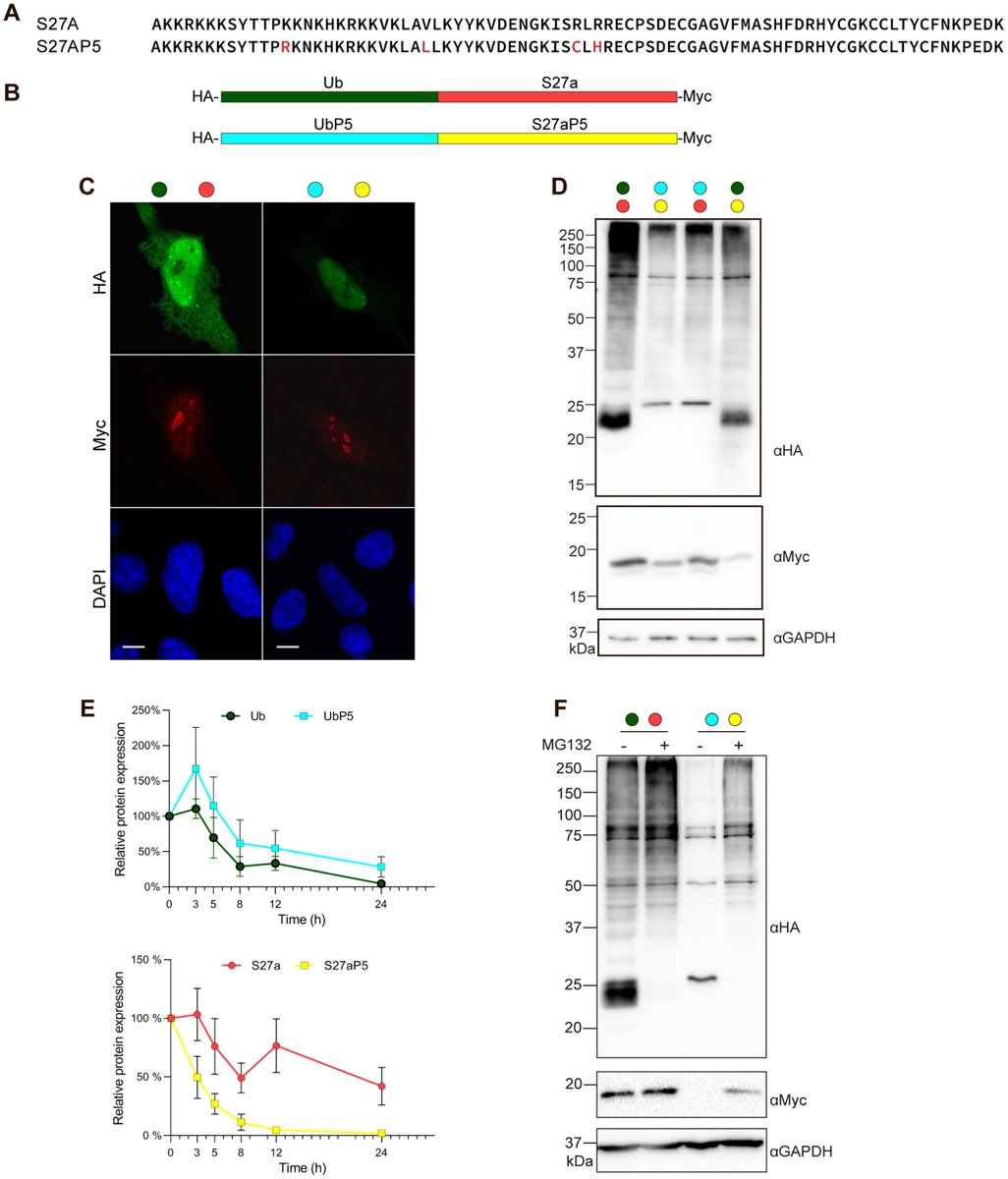 Biochemistry and Cell Biology tweet media