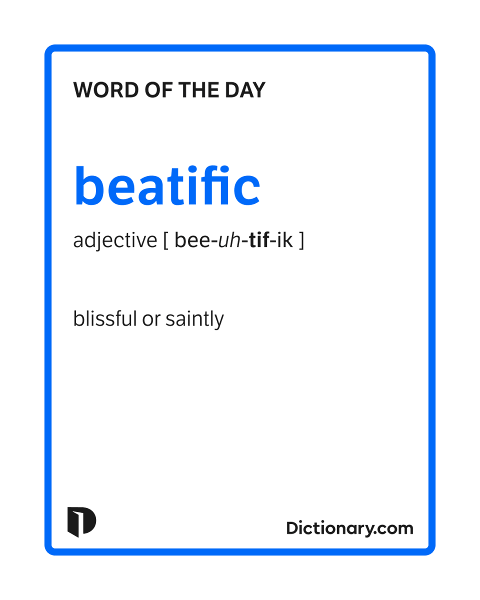 Dictionary.com tweet media