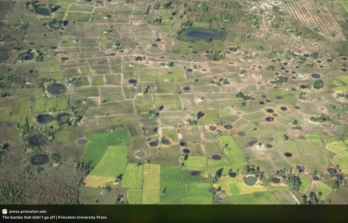 Lyle Lewis tweet media