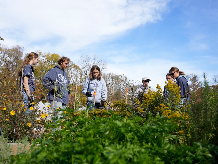 National FFA tweet media
