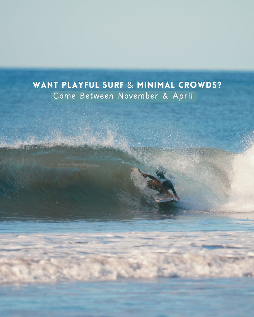 Club Cocal 🇸🇻 tweet media