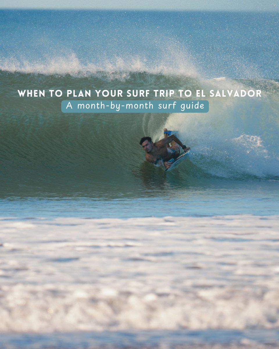 Club Cocal 🇸🇻 tweet media