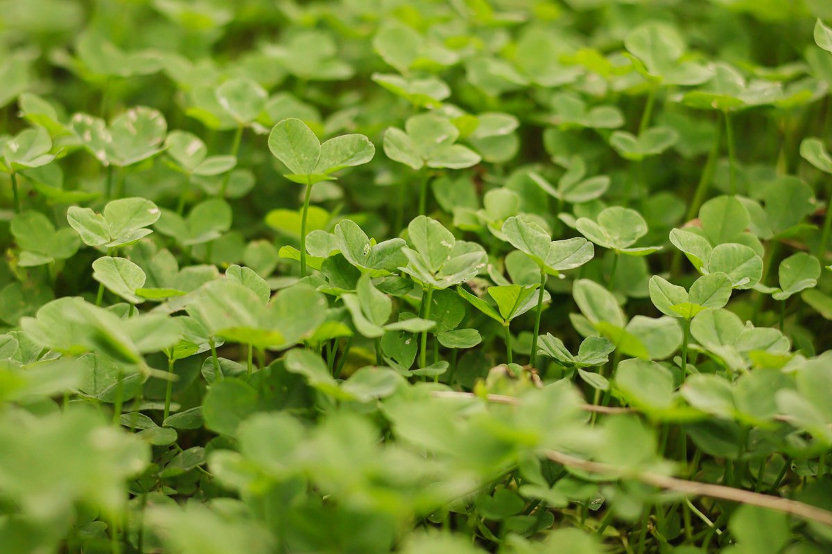 Jackson Family Funeral Directors tweet media