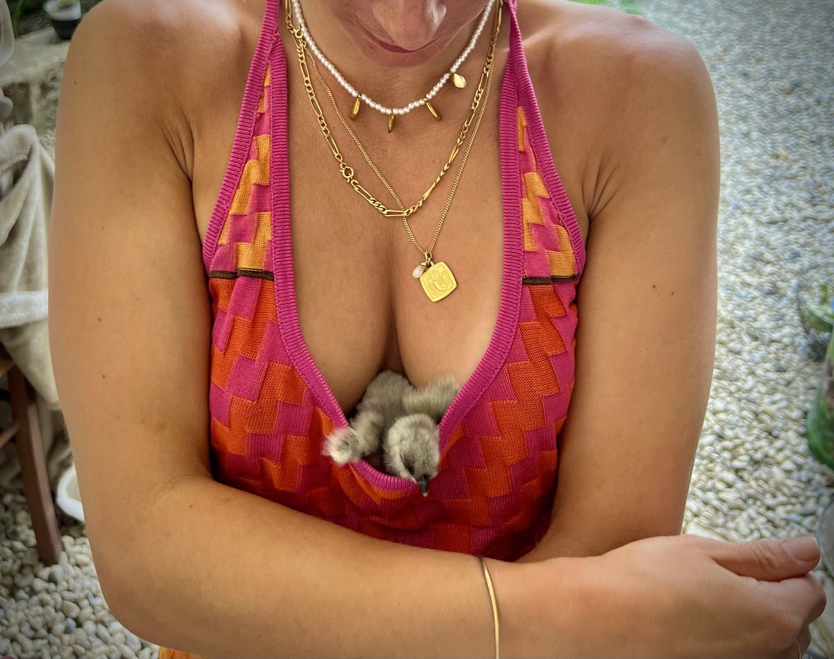 Inkedstep tweet media