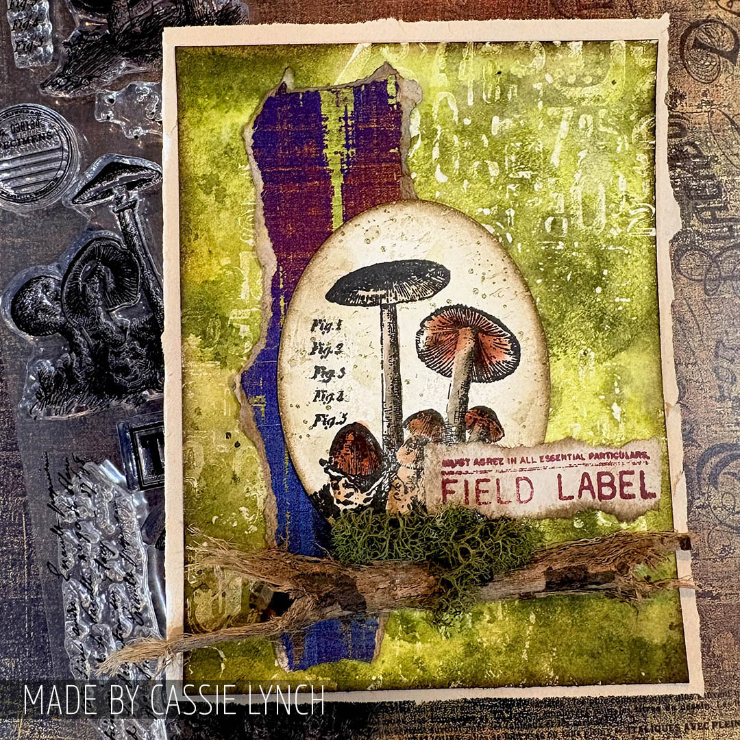stampers_anon's tweet photo. Earthy layers + woodland texture ππΏ This richly detailed sample by @mk_knits brings vintage mushroom specimens to life with natural elements and rustic depth β¨ Created with #timholtz Tiny Toadstools mixed-media set (THMM112)
#stampersanonymous #SACurations #handmadecards https://t.co/4ZtEwxtdVD