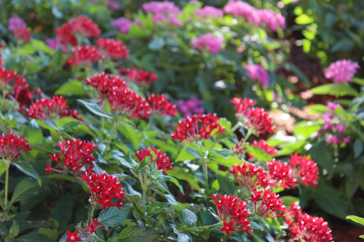 FloridaNationalU tweet media