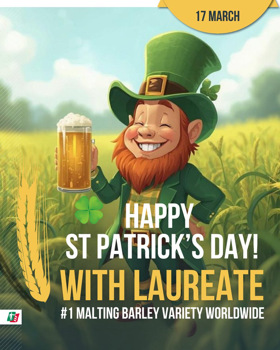 ragtseedsuk's tweet image. Wishing everyone a happy St Patrick’s Day! Did you know Laureate Spring Barley is the UK’s leading malting barley variety? Here’s to quality crops and British agriculture. ragt.uk/laureate-the-b…

#StPatricksDay #Laureate #SpringBarley #MaltingBarley #UKAgriculture #Farming